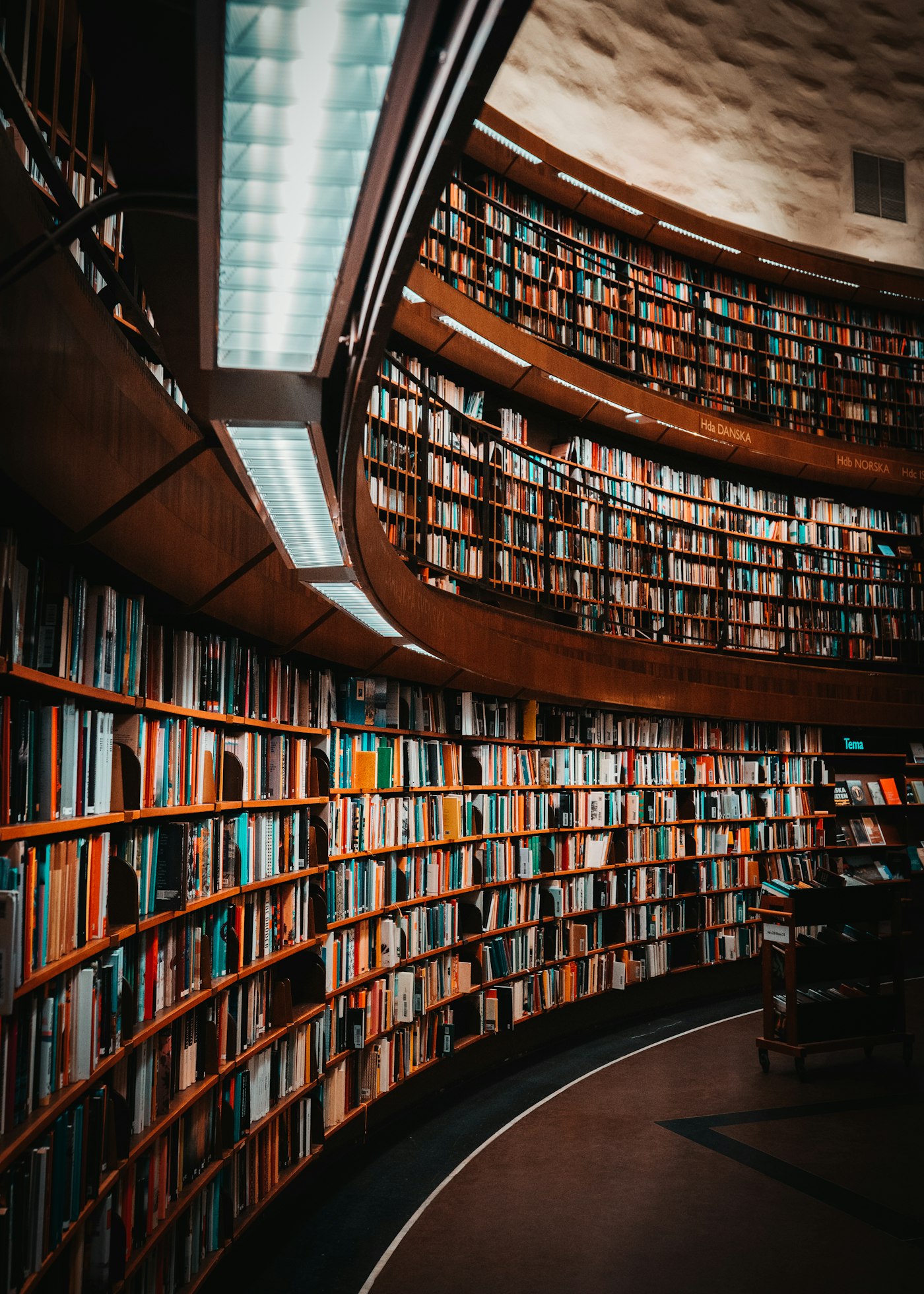 Sala de lectura clásica con luz cálida